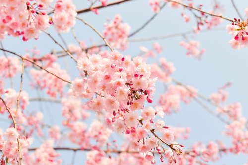 Reiseziele im April – Wo ist es jetzt sommerlich warm?