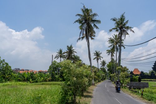 Seseh Bali: Reisetipps für das neue Canggu