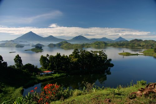 Volcanoes Nationalpark Ruanda: Unsere Tipps, Highlights & Preise