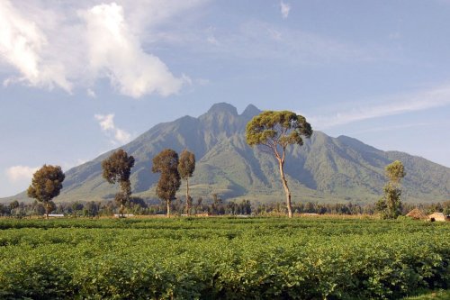 Ruanda Reisetipps: Die 33 besten Tipps für euer Abenteuer