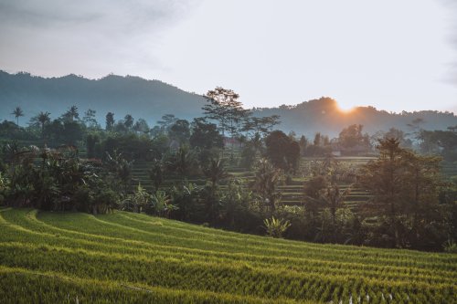Die 41 schönsten Sehenswürdigkeiten in Bali