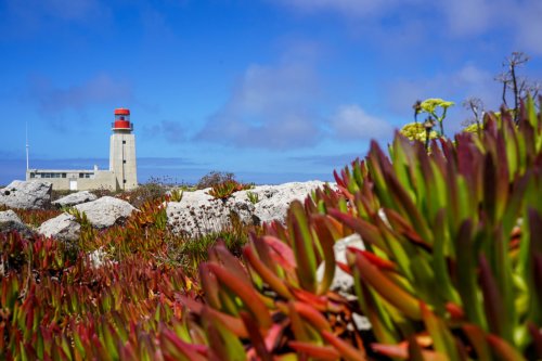 Traumhafte Algarve: Unsere 11 liebsten Spots in der Region