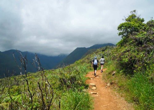 The 10 Best Hikes in Maui for Adventure Lovers