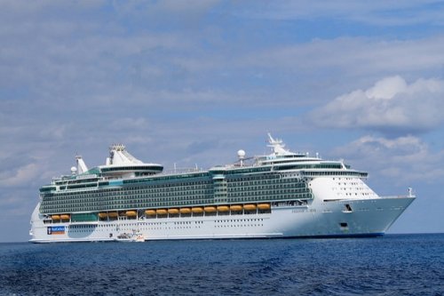Cruise Lines & Cruise Ships cover image