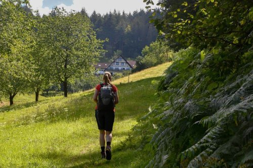Entdecke 6 der besten Outdoor-Aktivitäten im Schwarzwald