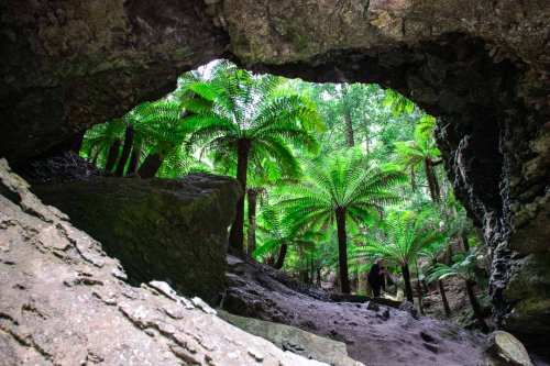 These Walks Help You See The Best of Northern Tasmania
