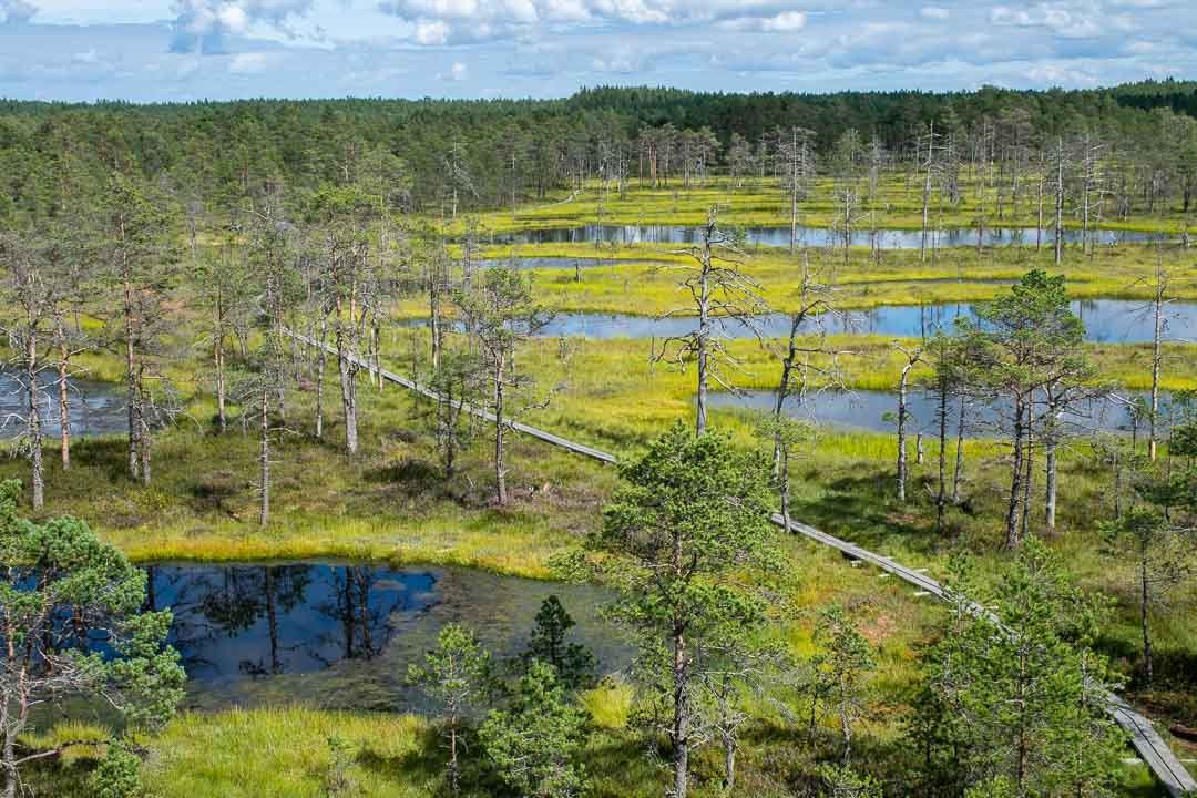 How to Visit Lahemaa National Park in Estonia - Travelsewhere