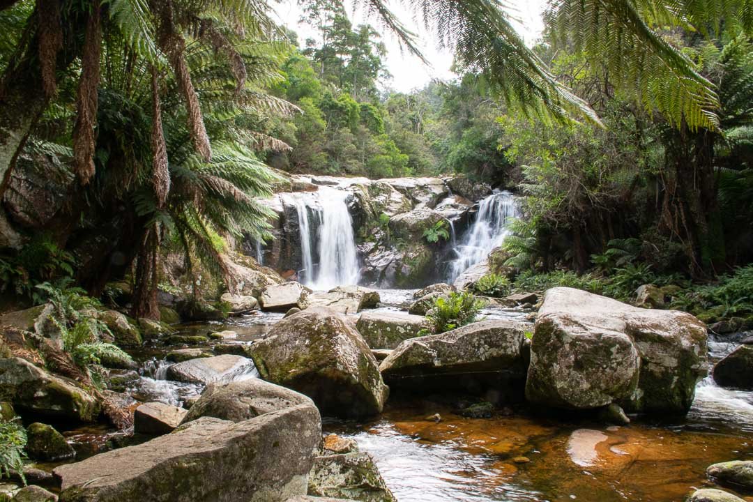 Best Waterfalls in North Tasmania to Seek Out - Travelsewhere