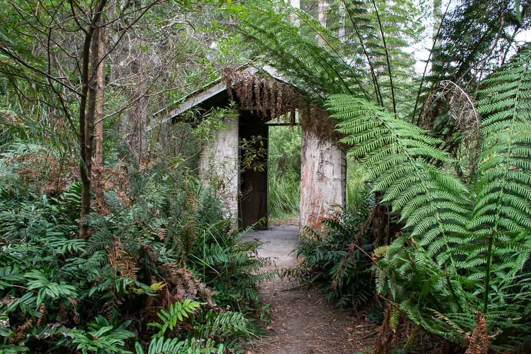 12 Fantastic Nature Walks in Tasmania Up North - Travelsewhere