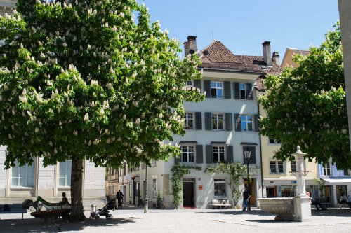 Explore More of Switzerland with These Day Trips from Zurich