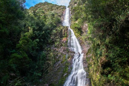 How to Visit Montezuma Falls in Tasmania - Travelsewhere