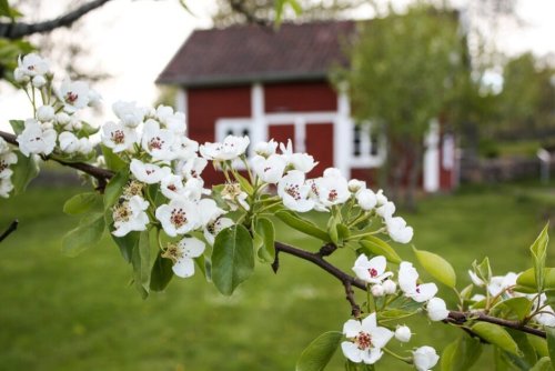 Dein Schweden Urlaub in Smaland Südschweden