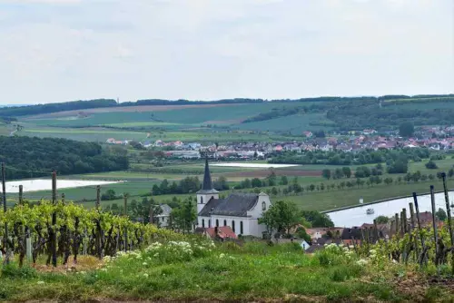 Weinregion Franken per Wohnmobil