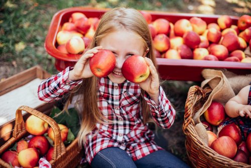 The Best Places to Grow Apples