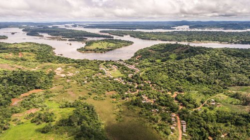 26% of Amazon Rainforest Is at Tipping Point, Study Finds