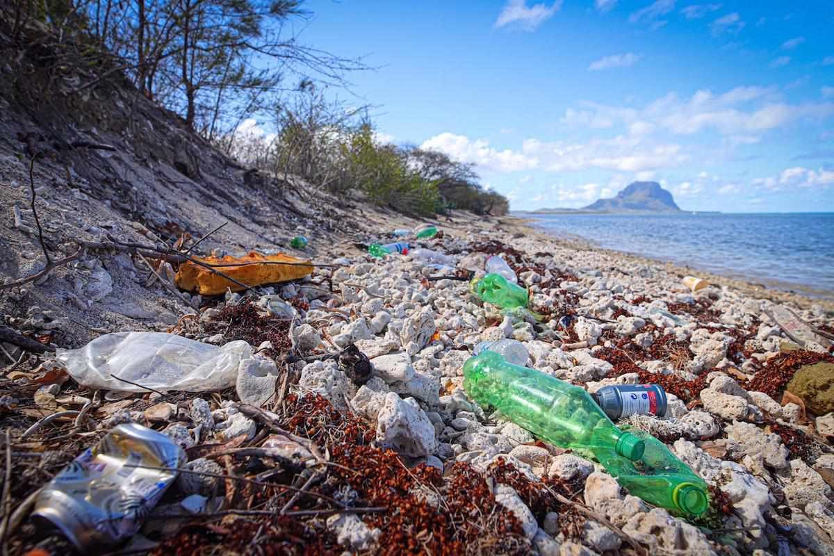 International Coastal Cleanup Report Reveals Staggering Reality of Recycling Crisis
