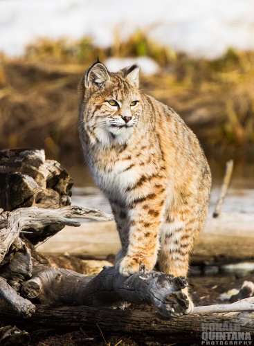 Flipboard Stories From 28 875 Topics Personalized For You