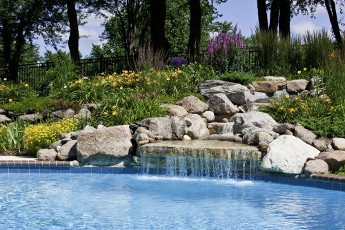 17 Best Plants That Work Perfectly Around the Pool