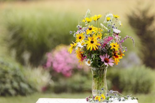 20 Best Native Flowers For a Cut Garden