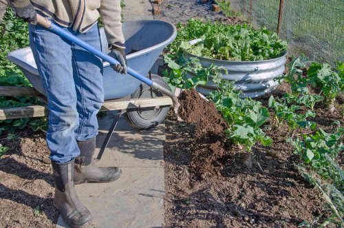 13 Garden Hacks From the Experts