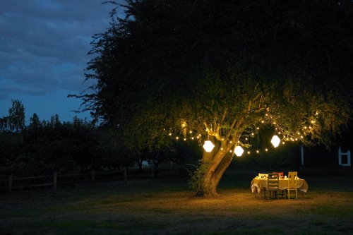 Ideas for Lighting Your Garden at Night