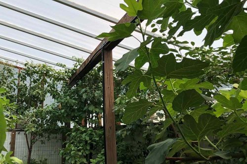 Build a $300 Underground Greenhouse for Year-Round Gardening