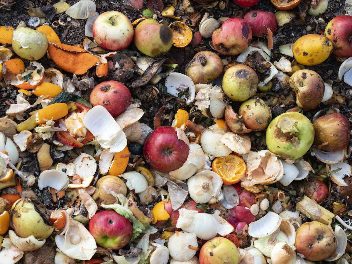 2.5 Billion Tons of Wasted Food Compound Climate Change, Study Shows