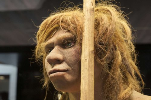 This Ancient Girl Was Half Neanderthal and Half Denisovan
