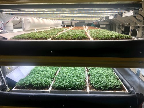 Industrial-Scale Aquaponics Is Coming of Age