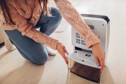 The 7 Best Energy-Efficient Dehumidifiers of 2022