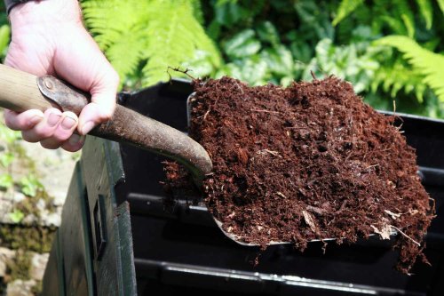 DIY Organic Fertilizers Sourced From Your Home and Garden