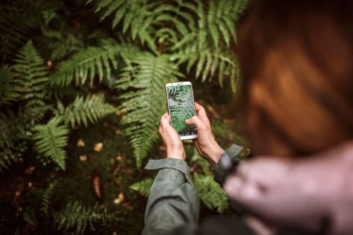 12 Apps That Will Turn You Into a Nature Expert