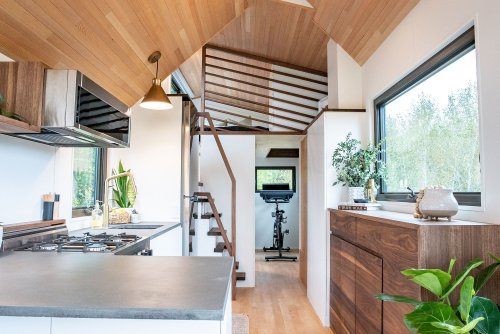 Midcentury Modernist Tiny House Includes a Micro-Gym