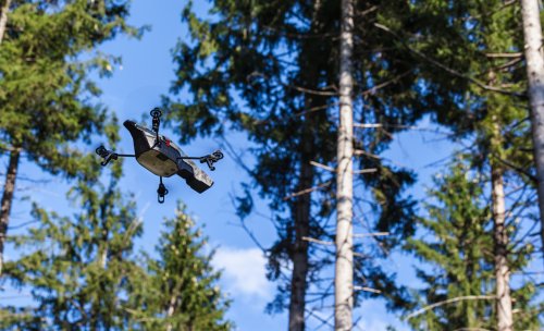 These 14 businesses are growing money on trees | Trellis