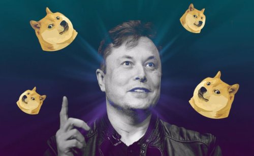 Elon Musk'ın başı sonunda Dogecoin'den yandı: Şok ponzi iddiası | Trendkoin