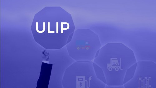 Analysing ULIP Fund Performance Through NAV