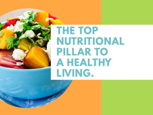 The Top Nutritional Pillar To A Healthy Living. - Trendpickle