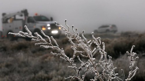 Forecast update: Treacherous freezing fog sends Tri-City drivers skidding. More in store