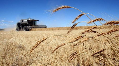 How much did the Trump administration pay Idaho farms to make up for the trade war?