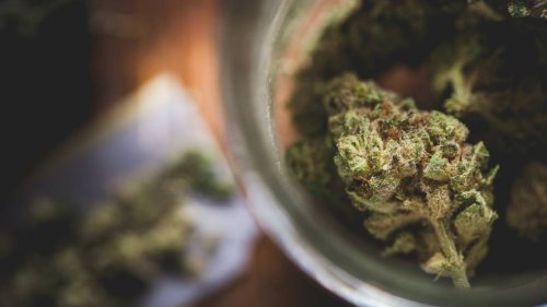 New study shows which states have the cheapest high-quality cannabis. Here’s how WA ranked