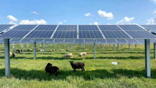 Seattle company proposes new solar farm near Tri-Cities. It could be the county’s 6th