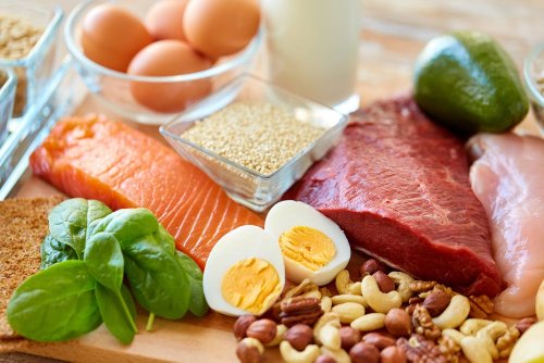 5 Myths About Protein Intake for Endurance Athletes