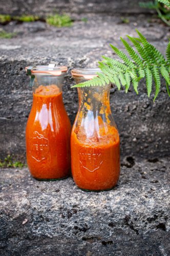 Rhabarberketchup selber machen – fruchtig, würzig & perfekt zum Grillen! - trickytine