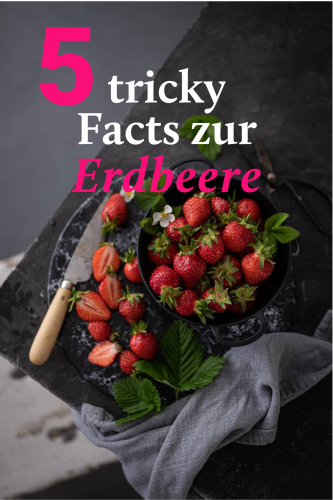 Dessert First cover image