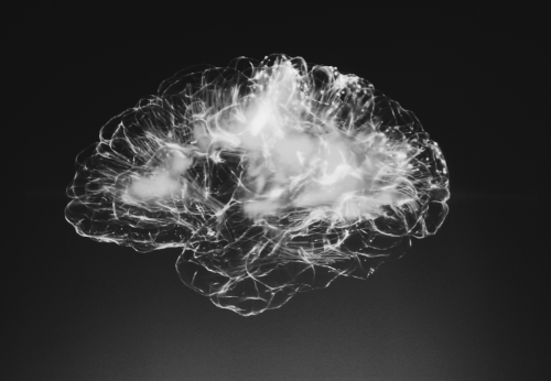 Inside the First-Ever Scientific Study of Post-Mortem Meditation