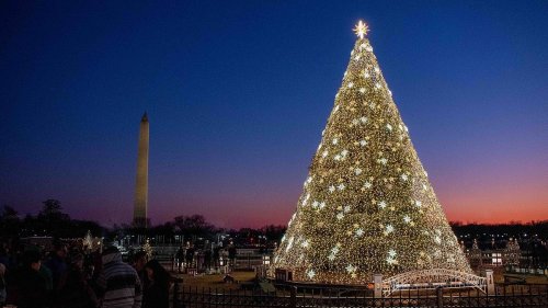 Escape to Washington D.C. for the holidays