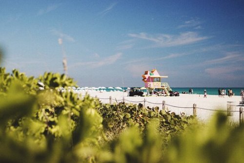 THE 10 BEST Romantic Restaurants in Miami - Tripadvisor