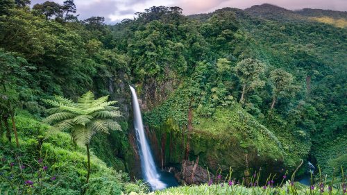 6 ways to explore Costa Rica’s rainforests