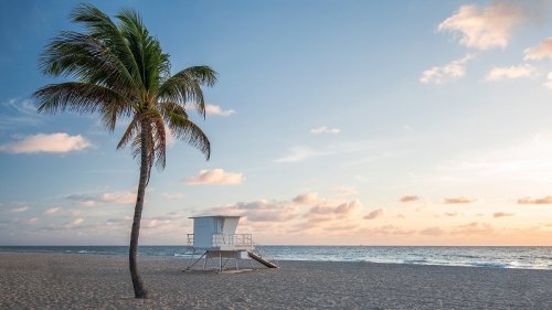 15 fun and unique things you can only do in Fort Lauderdale, Florida