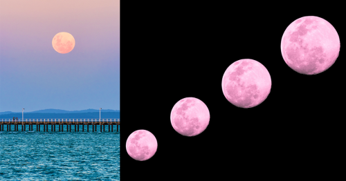 Pink Supermoon: 10 Stunning Pictures Of The Largest Supermoon Of The Year